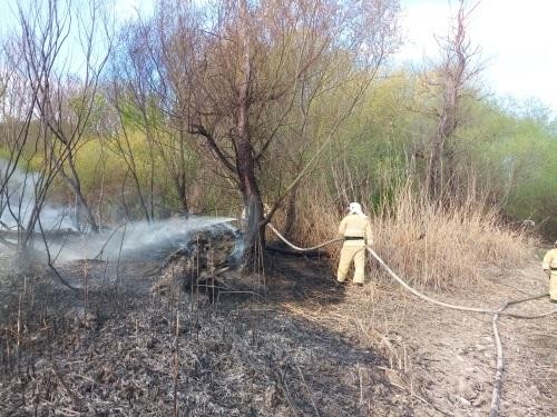 Двух человек оштрафовали за возгорание камыша близ феодосийского посёлка Щебетовка - «Феодосия»